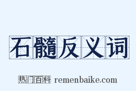 石髓反义词是什么意思的图片